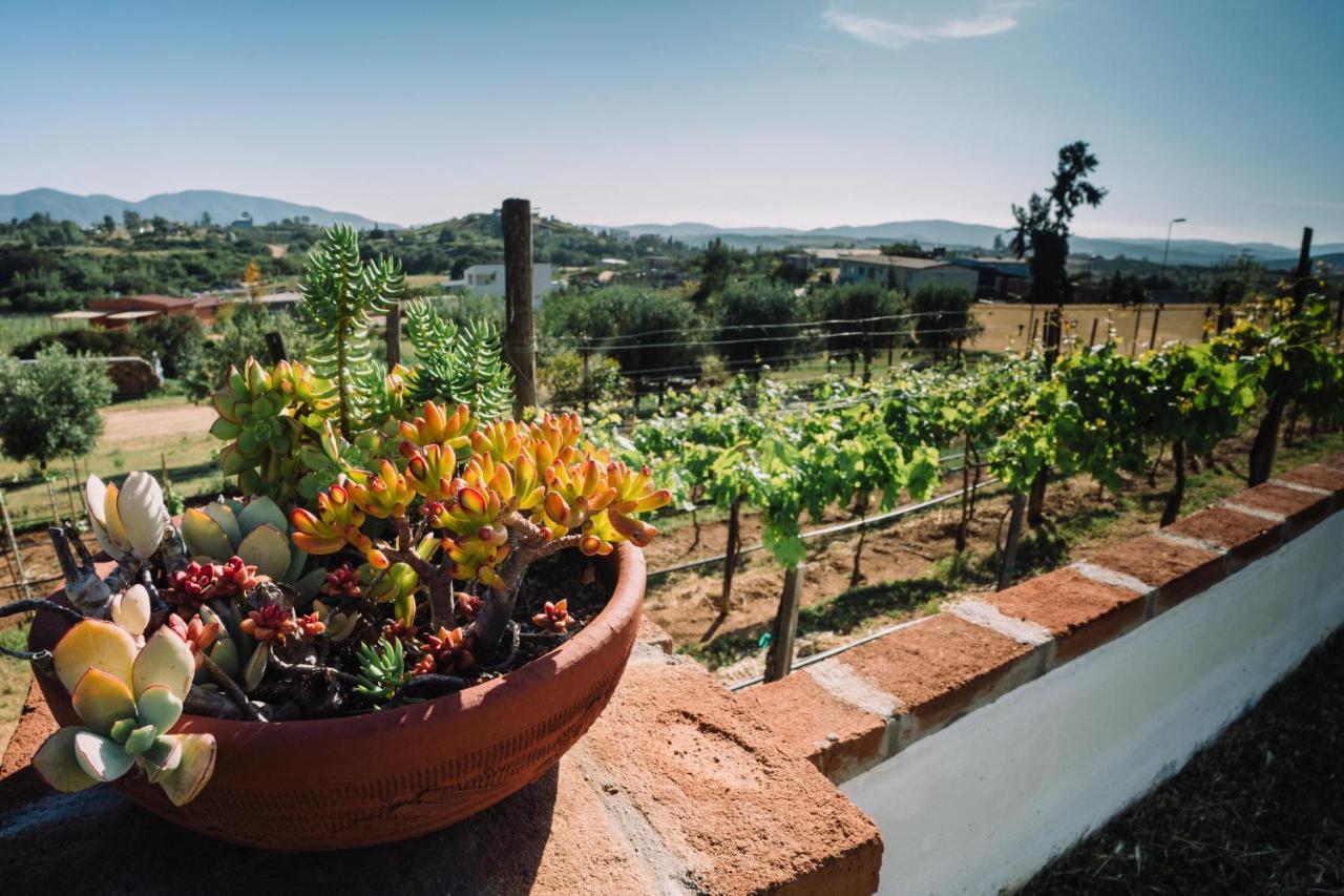 Quinta Sofia Valle De Guadalupe (Adults Only) ภายนอก รูปภาพ