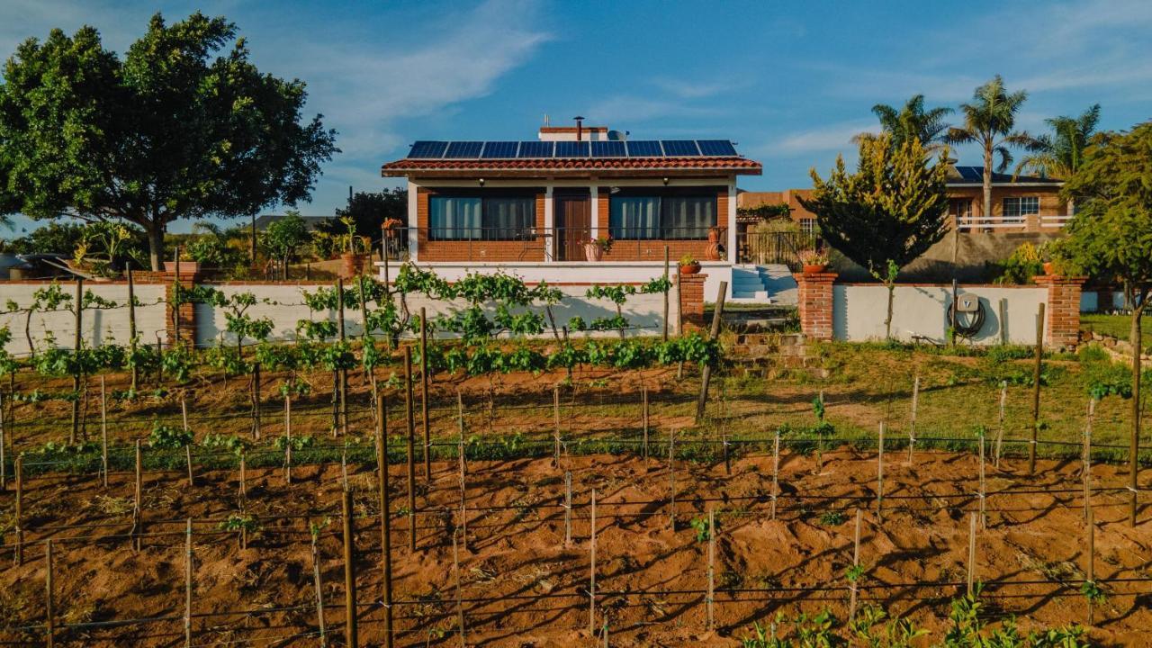 Quinta Sofia Valle De Guadalupe (Adults Only) ภายนอก รูปภาพ