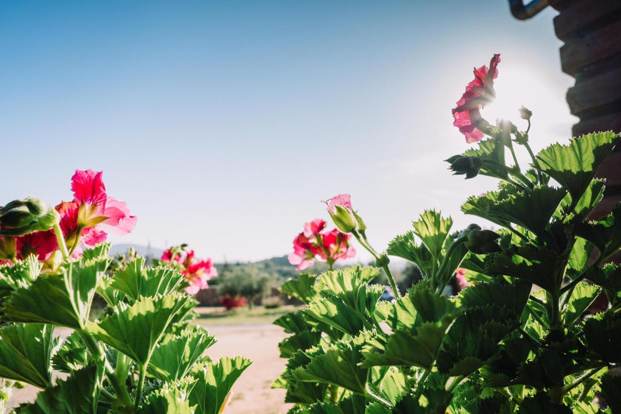 Quinta Sofia Valle De Guadalupe (Adults Only) ภายนอก รูปภาพ