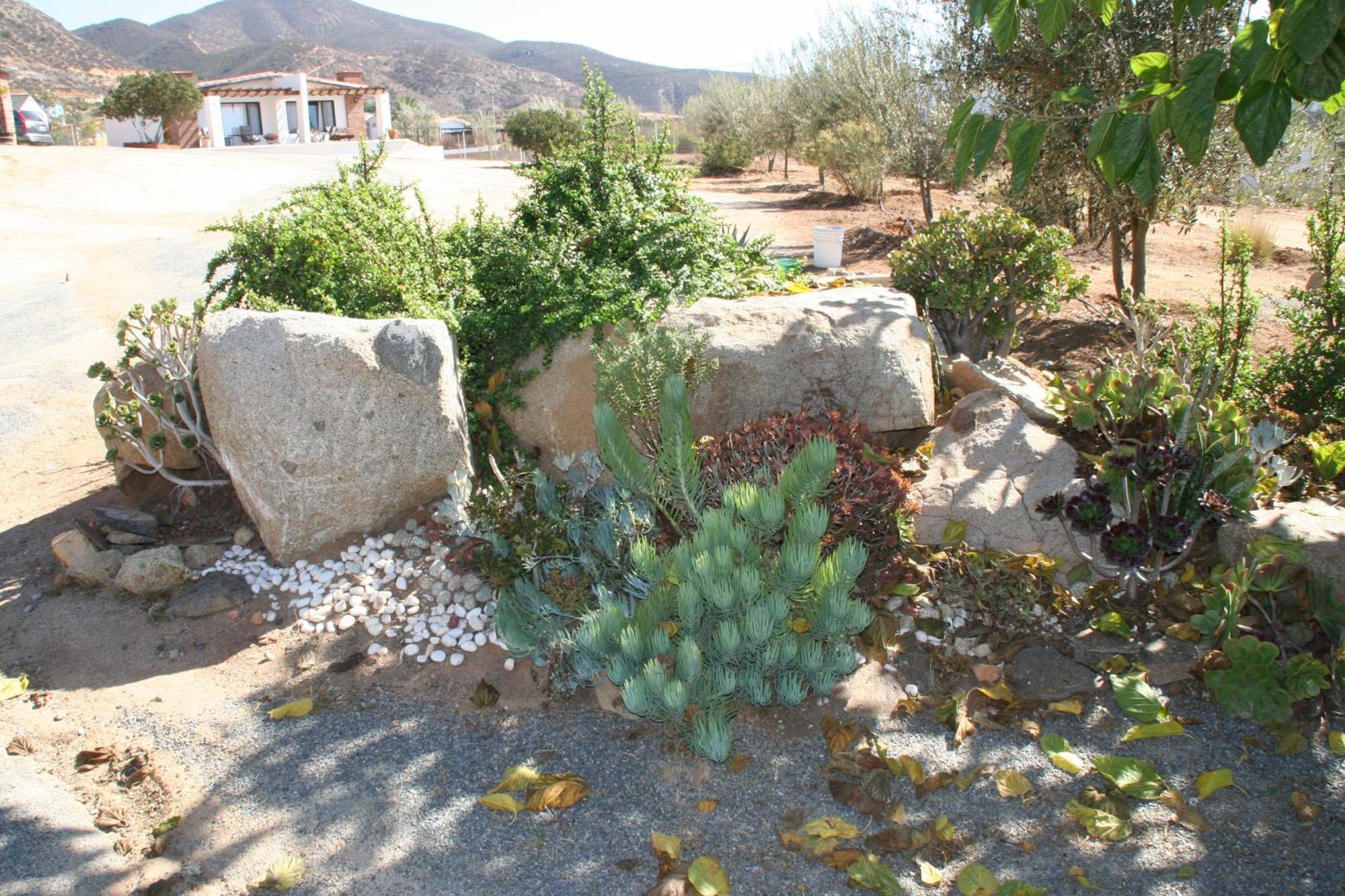 Quinta Sofia Valle De Guadalupe (Adults Only) ภายนอก รูปภาพ