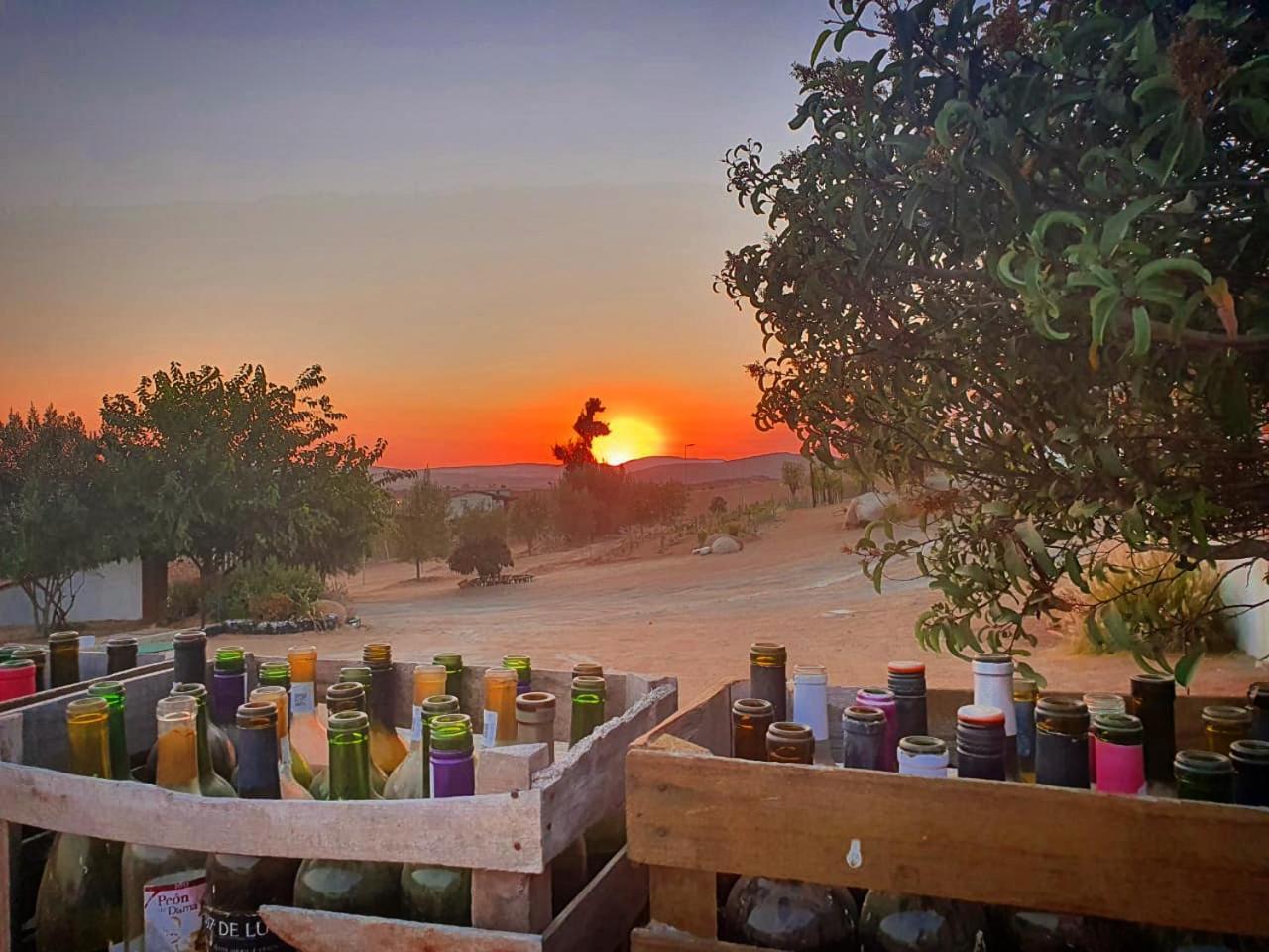 Quinta Sofia Valle De Guadalupe (Adults Only) ภายนอก รูปภาพ