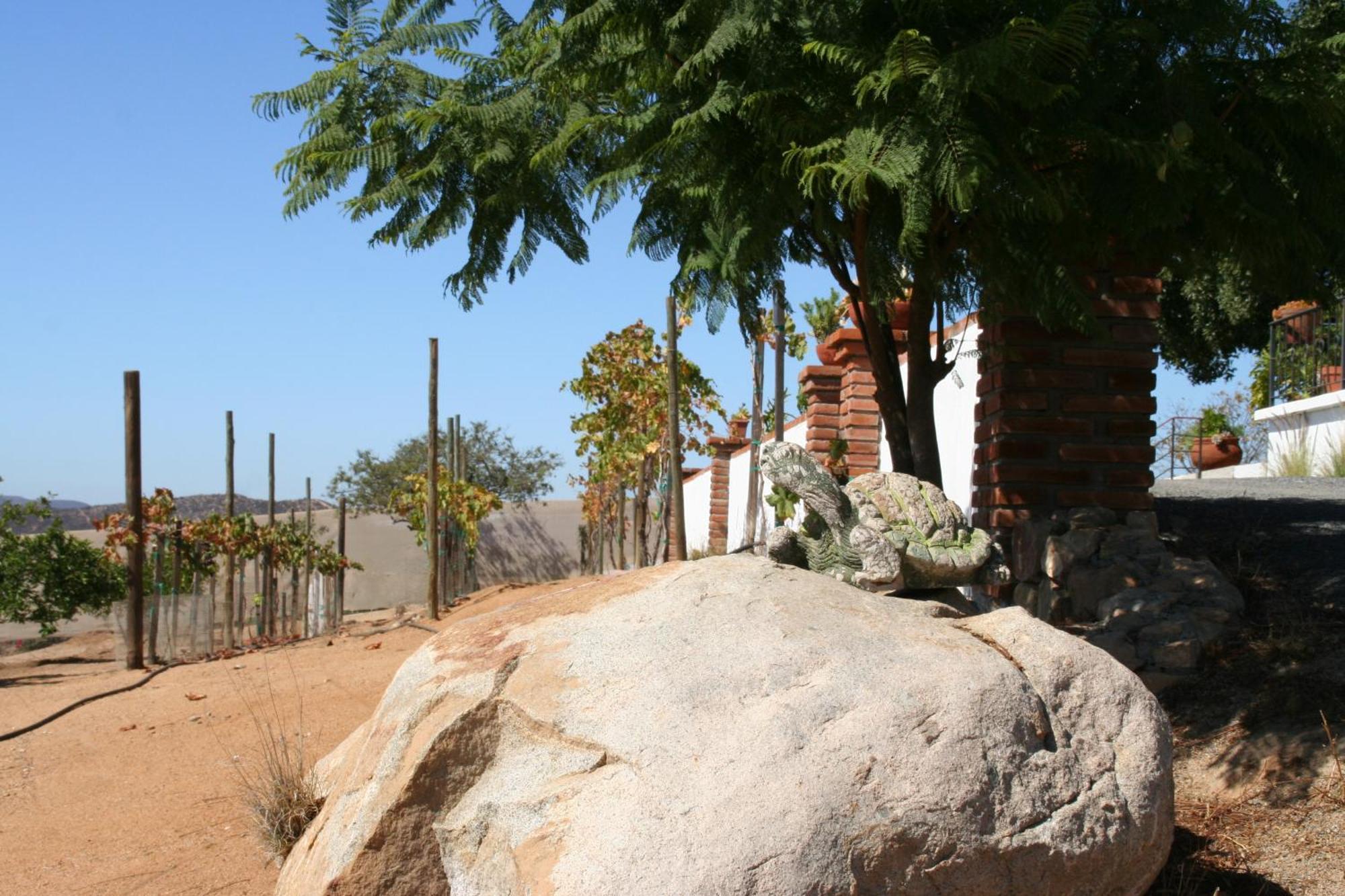 Quinta Sofia Valle De Guadalupe (Adults Only) ภายนอก รูปภาพ