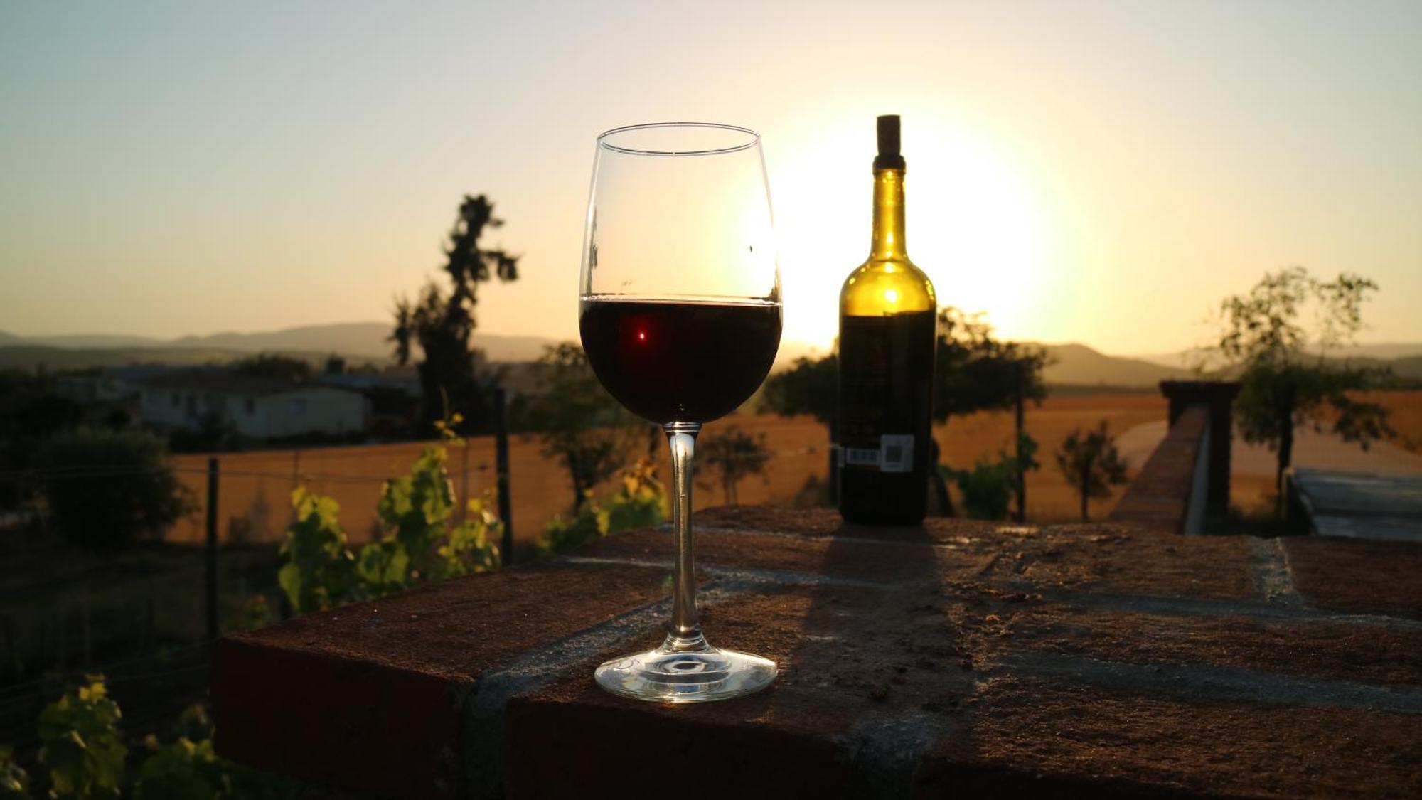 Quinta Sofia Valle De Guadalupe (Adults Only) ภายนอก รูปภาพ