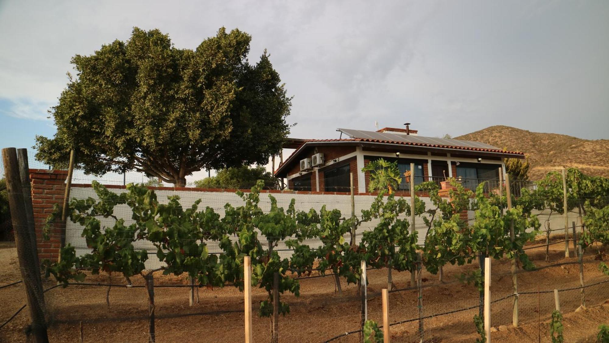 Quinta Sofia Valle De Guadalupe (Adults Only) ภายนอก รูปภาพ