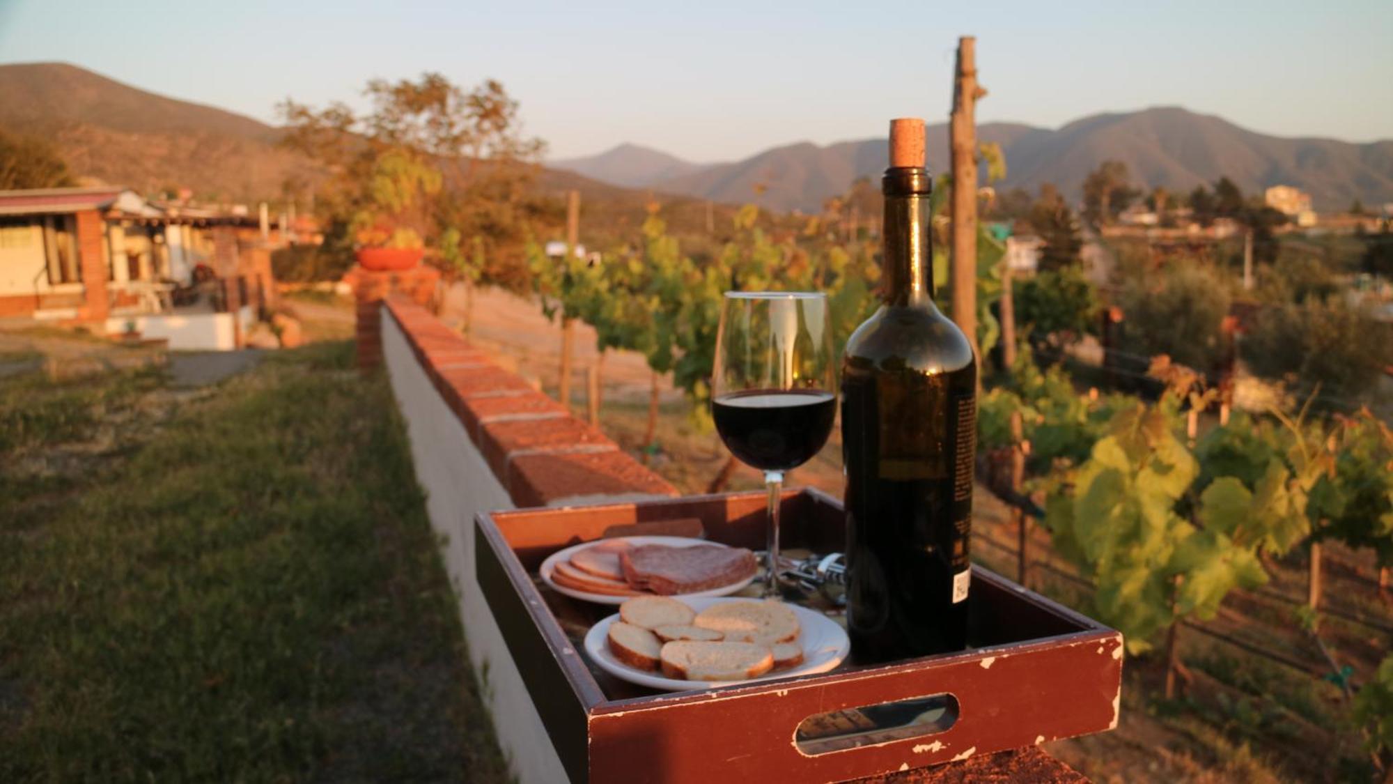 Quinta Sofia Valle De Guadalupe (Adults Only) ภายนอก รูปภาพ